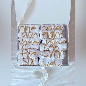 12 Monthly Onesies - newborn bodysuits gift - baby shower presents
